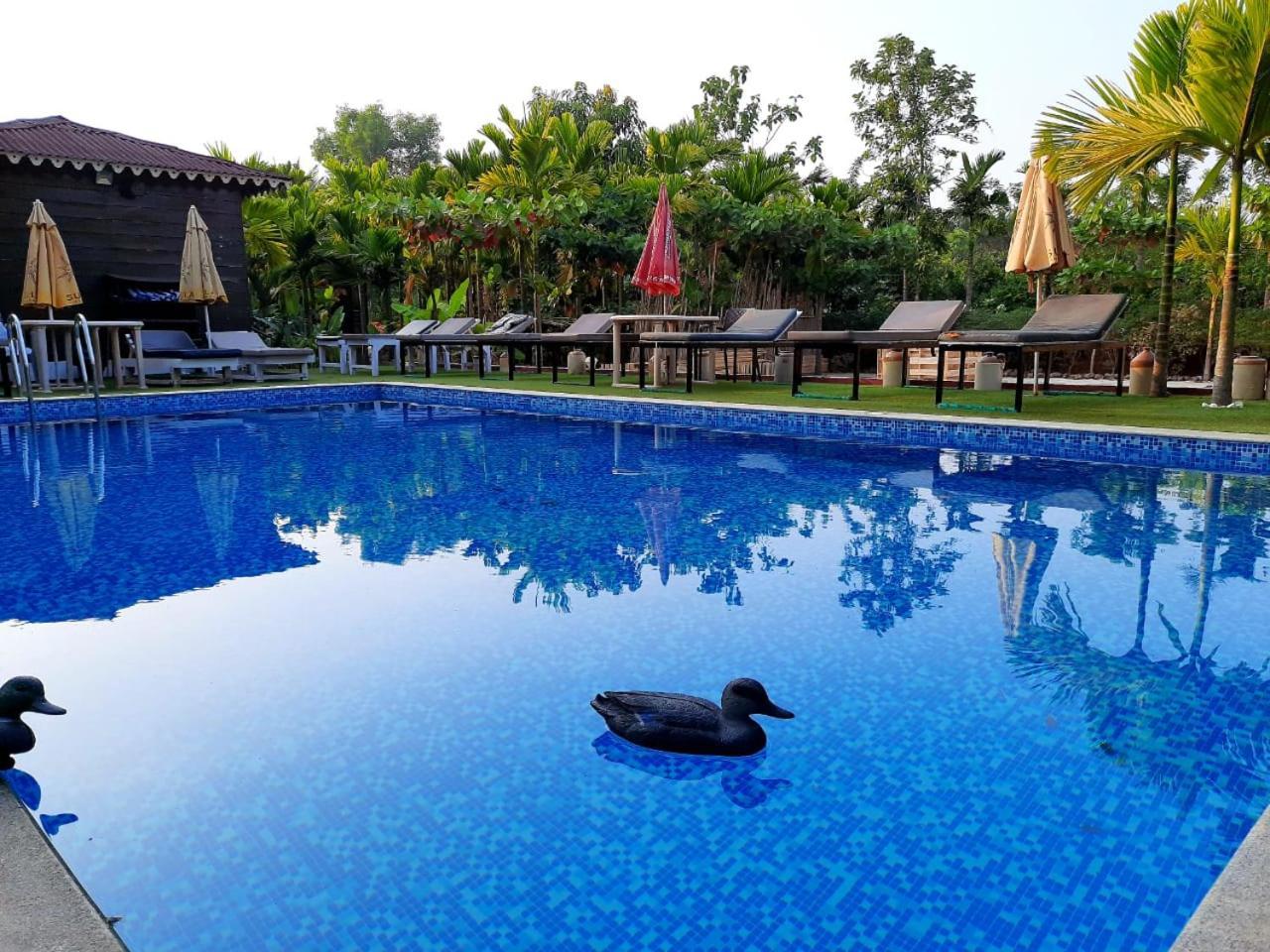 Go Green Spice & Eco Resort Cavelossim Exteriör bild