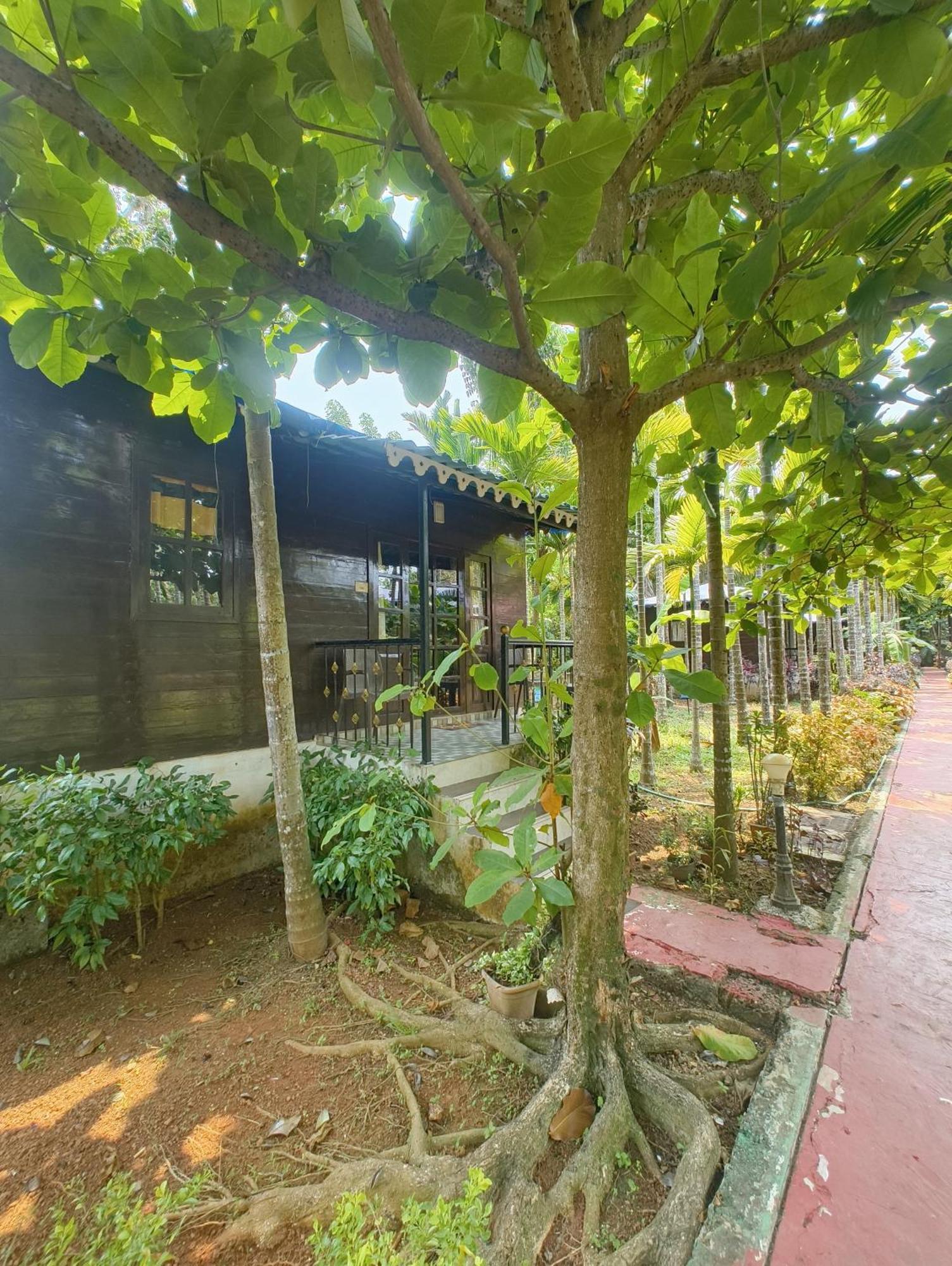 Go Green Spice & Eco Resort Cavelossim Exteriör bild