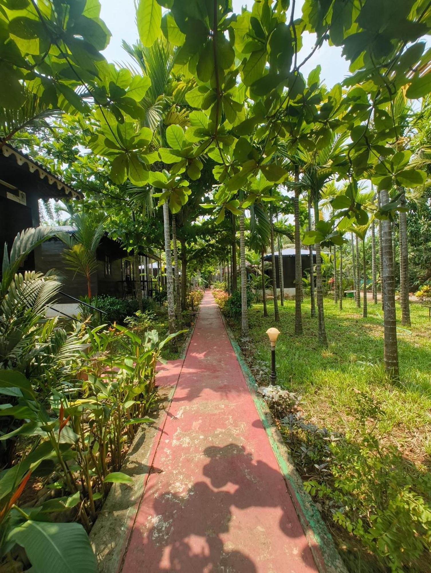 Go Green Spice & Eco Resort Cavelossim Exteriör bild